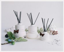 2021夏天扩香5款推荐！Jo Malone、NAMUA干净草本香气好舒心